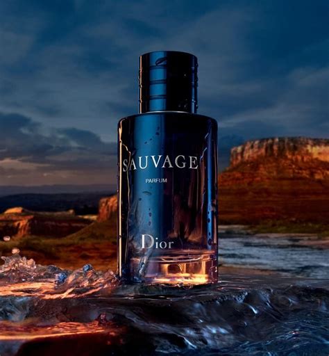 dior hudson's bay|Dior sauvage eau de parfum.